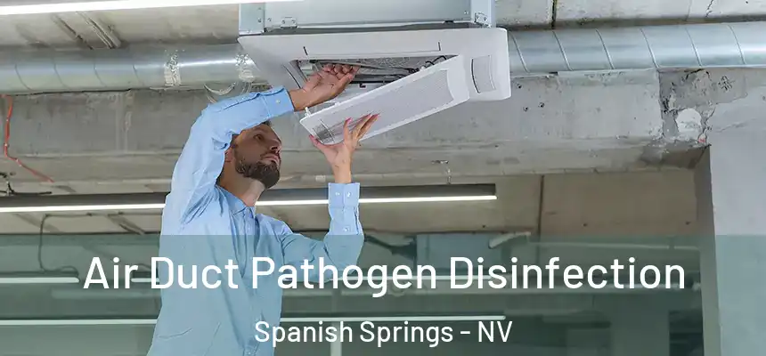 Air Duct Pathogen Disinfection Spanish Springs - NV
