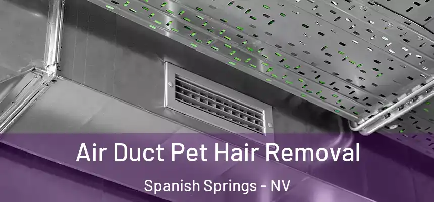  Air Duct Pet Hair Removal Spanish Springs - NV