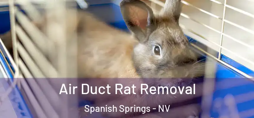 Air Duct Rat Removal Spanish Springs - NV