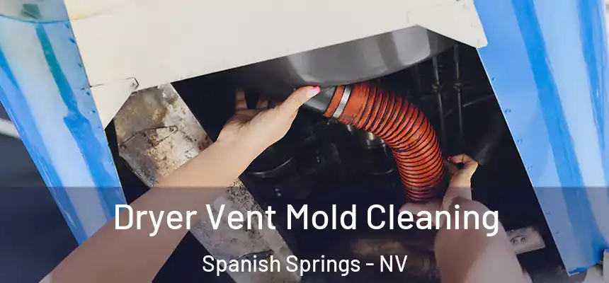Dryer Vent Mold Cleaning Spanish Springs - NV