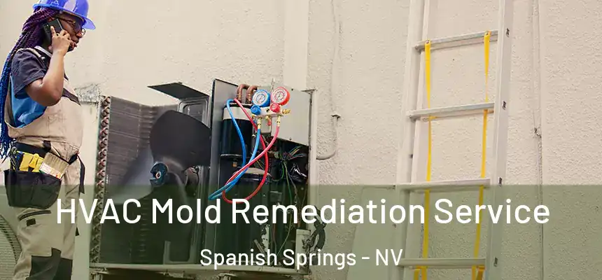  HVAC Mold Remediation Service Spanish Springs - NV