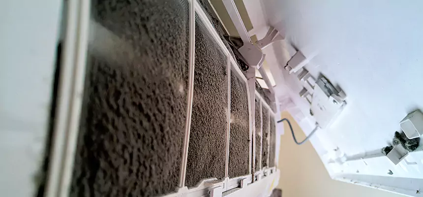 Preventive Air Duct Bacteria Removal in Spanish Springs