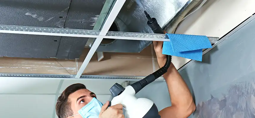 Our Air Duct Rodent Removal Services in Spanish Springs, NV