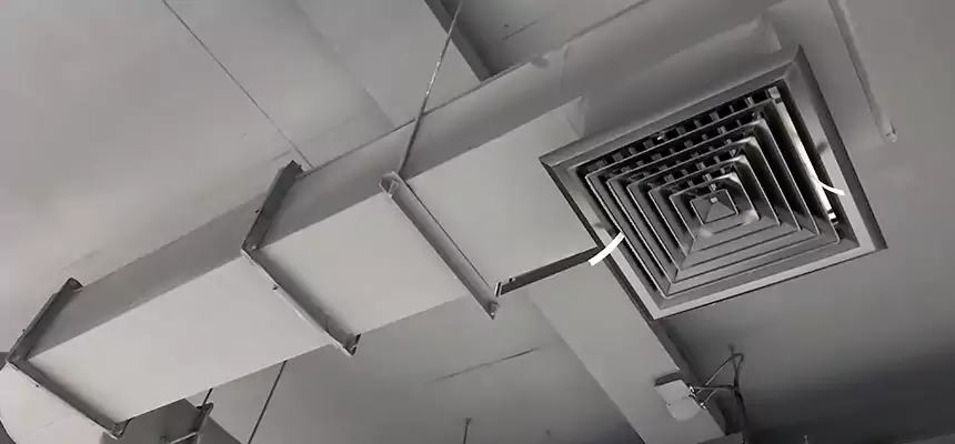 Our Pest Removal From Ducts Services in Spanish Springs, NV