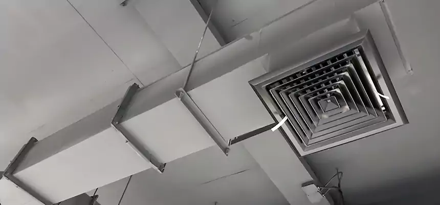 Our Rodent Droppings In Vents Services in Spanish Springs, NV