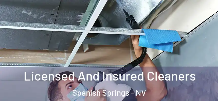  Licensed And Insured Cleaners Spanish Springs - NV