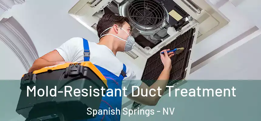  Mold-Resistant Duct Treatment Spanish Springs - NV