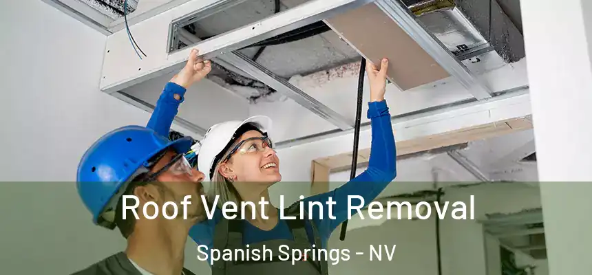  Roof Vent Lint Removal Spanish Springs - NV