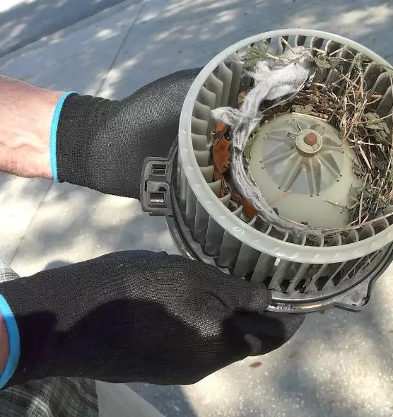 About Air Duct Rat Removal in Spanish Springs, NV