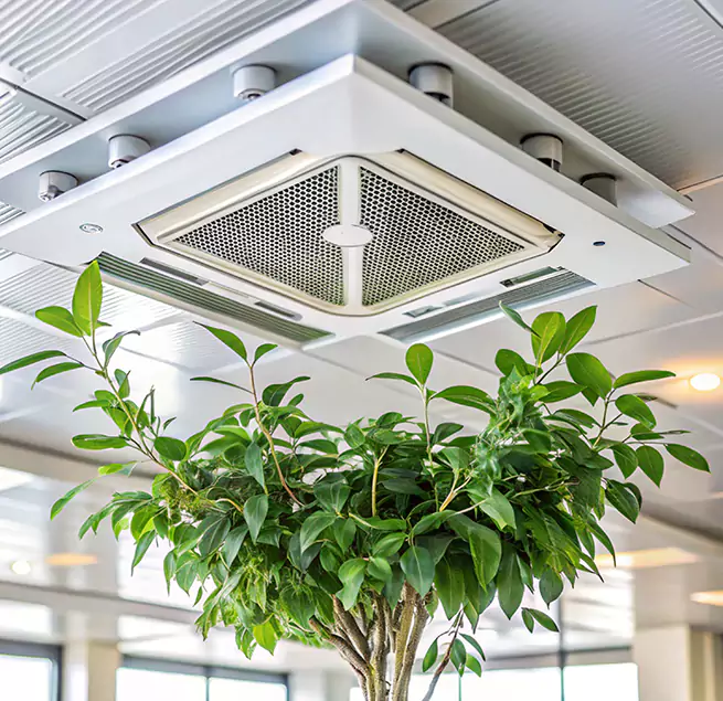 Why Homeowners & Businesses Trust Us in Spanish Springs, NV?